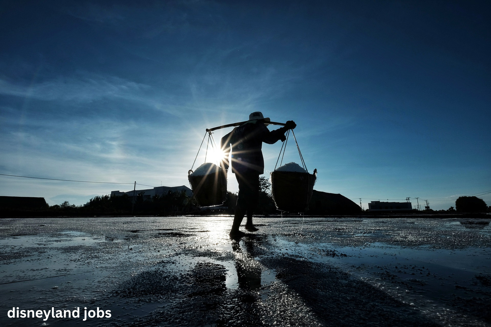 disneyland jobs
