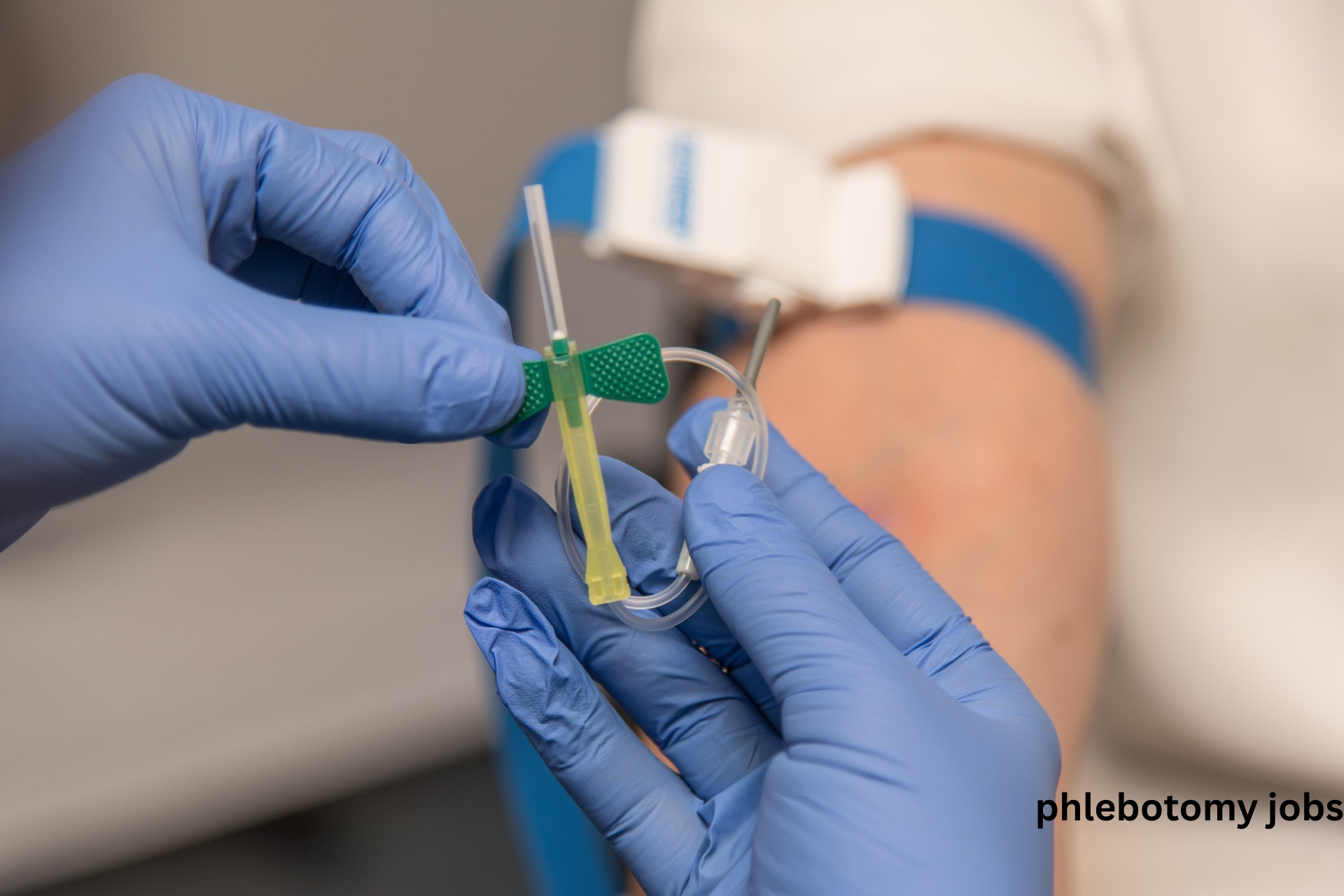 phlebotomy jobs